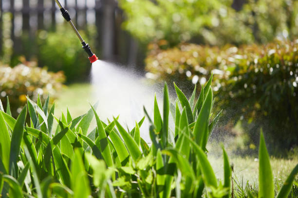 Tamper-Resistant Bait Stations for Rodents in Raceland