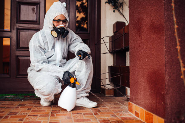Attic and Crawl Space Rodent Treatment in Raceland