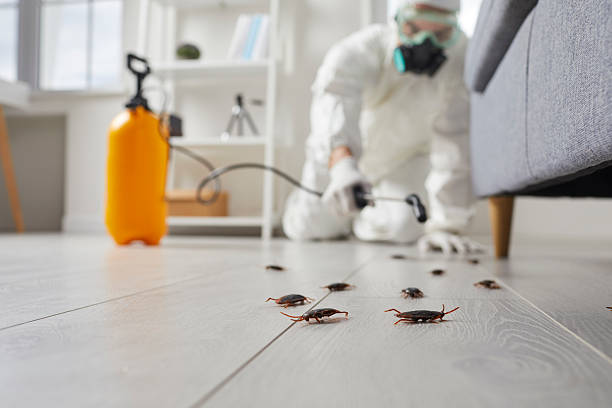 Commercial Rodent Management in Raceland